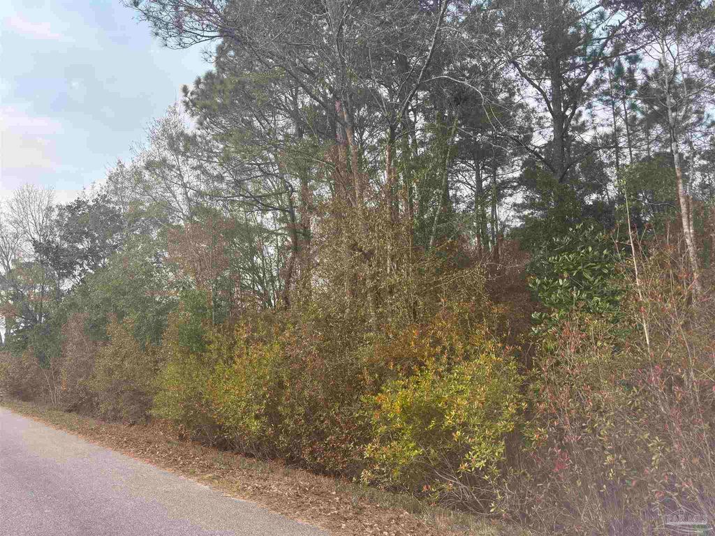 no address Balkom St, Milton, FL 32583