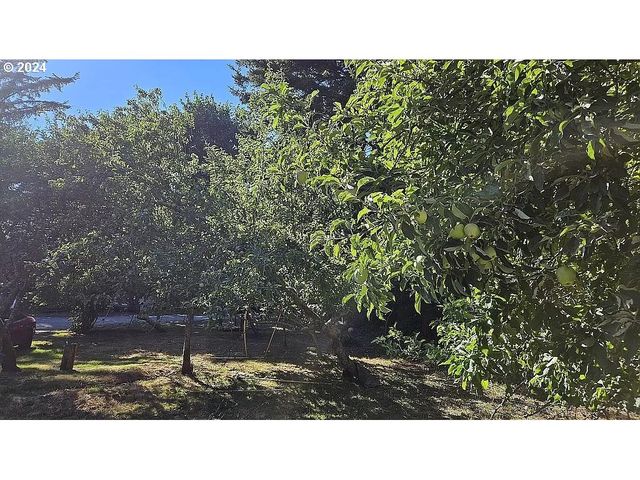 43460 NICHOLSON Dr, Port Orford, OR 97465