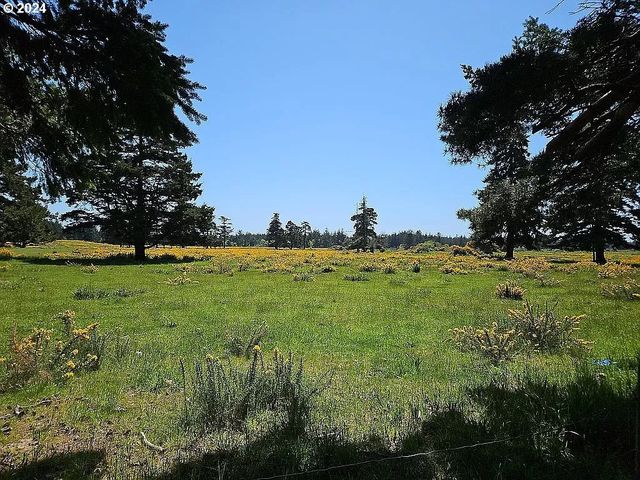 43460 NICHOLSON Dr, Port Orford, OR 97465
