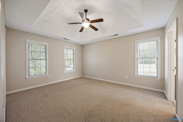 115 Medicine Bend Court, Madison, AL 35613