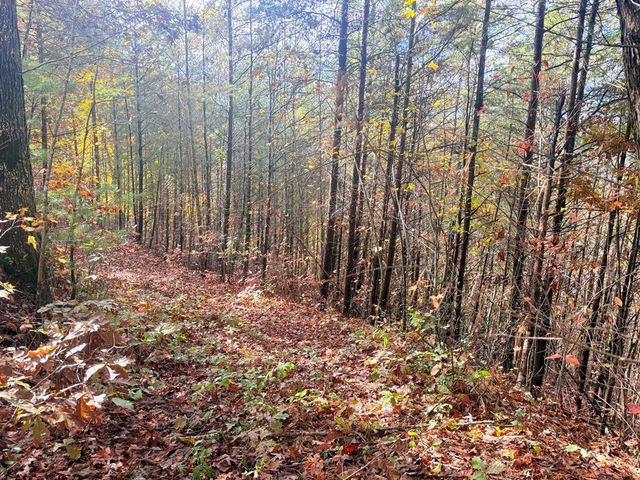 12-4 Cardinal Road, Murphy, NC 28906