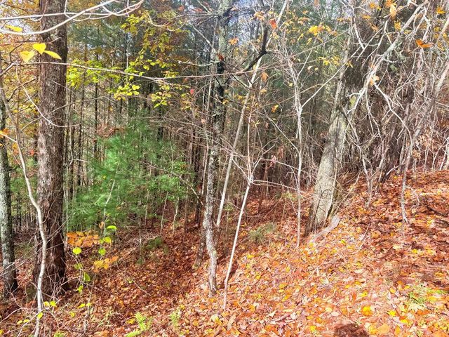 12-4 Cardinal Road, Murphy, NC 28906