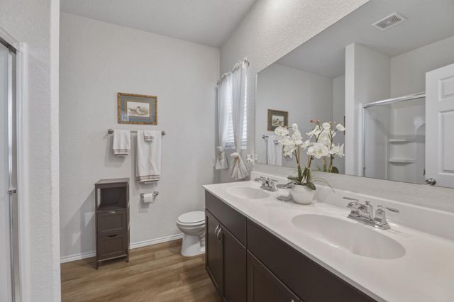 428 Nova Zembla, New Braunfels, TX 78130