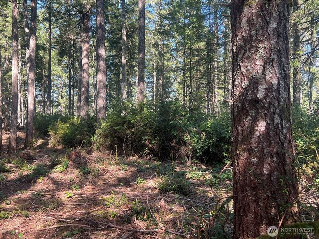 380 E Laurel Park, Union, WA 98592