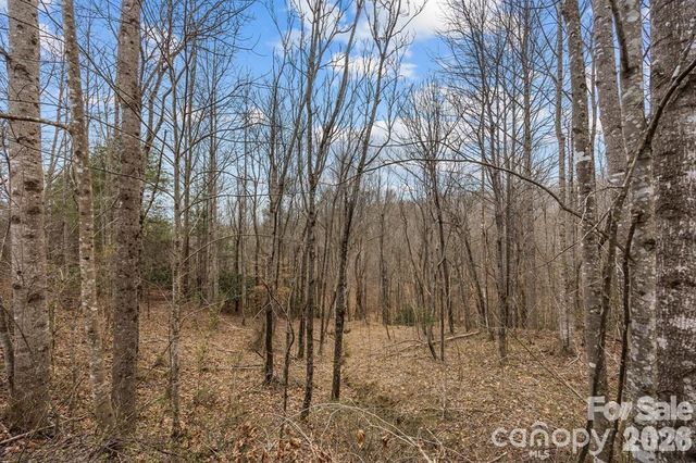 Lot 106 Glenhaven Drive, Marion, NC 28752