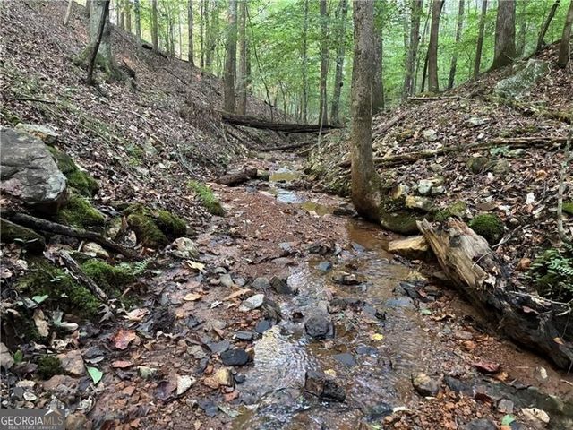 LOT 1 Norton Ridge, Dahlonega, GA 30533
