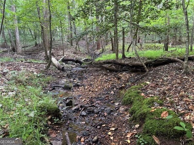 LOT 1 Norton Ridge, Dahlonega, GA 30533