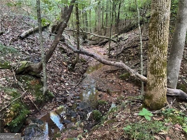 LOT 1 Norton Ridge, Dahlonega, GA 30533