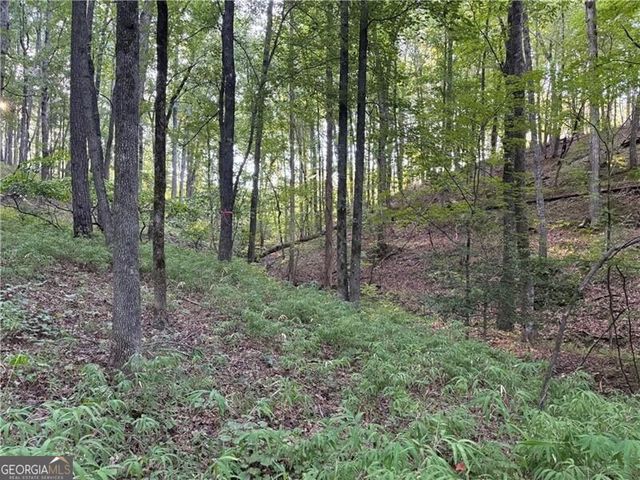 LOT 1 Norton Ridge, Dahlonega, GA 30533
