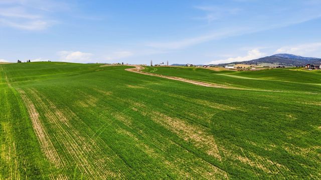 11879 E Elder Rd, Valleyford, WA 99036