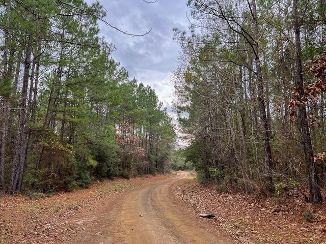 T-3 County Road 1019, Newton, TX 75966