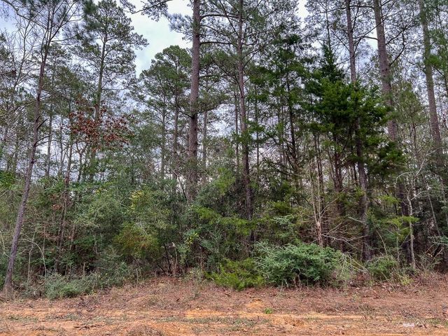 T-3 County Road 1019, Newton, TX 75966