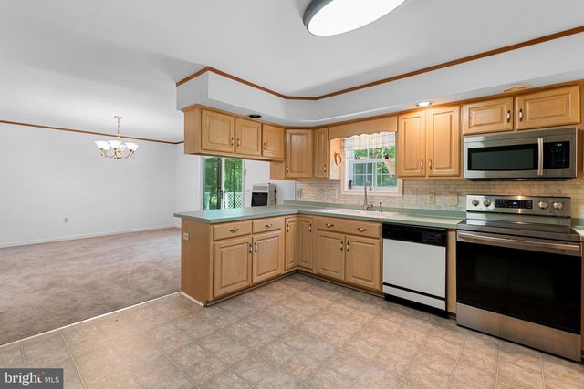 25509 GUINEA HOLLOW RD, Millsboro, DE 19966
