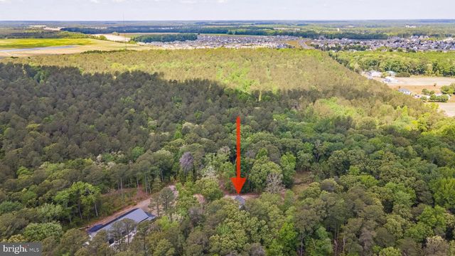 25509 GUINEA HOLLOW RD, Millsboro, DE 19966