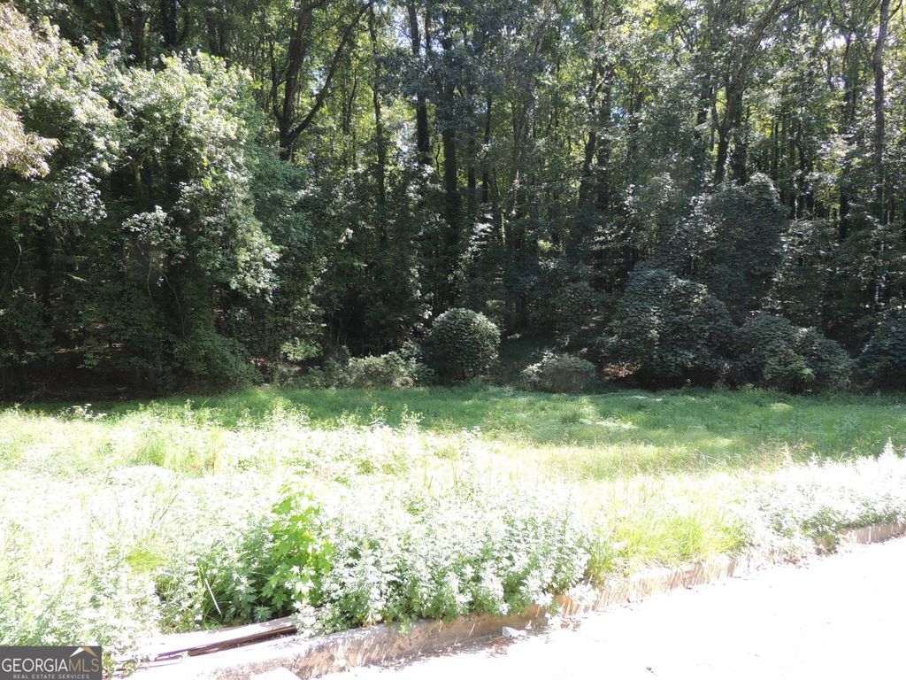 0 Handley Avenue S, Atlanta, GA 30310 — photo 2