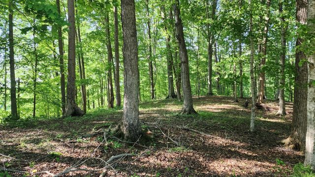 1 Potts Camp Rd, Smithville, TN 37166