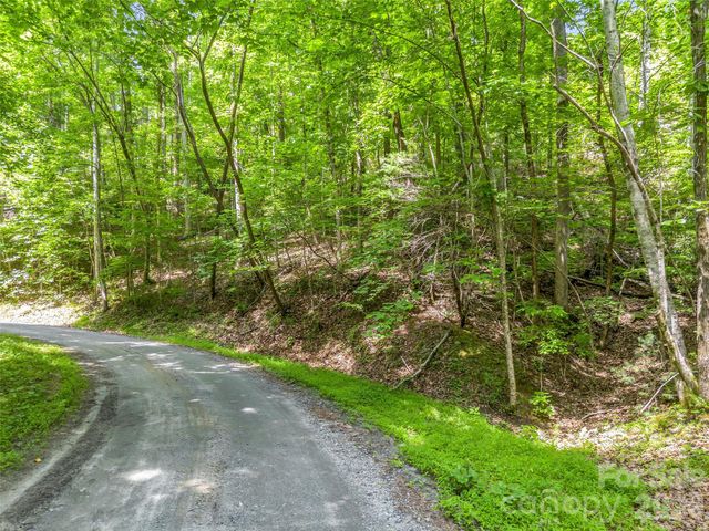 00 Chipmonk Trail 107, Lake Lure, NC 28746