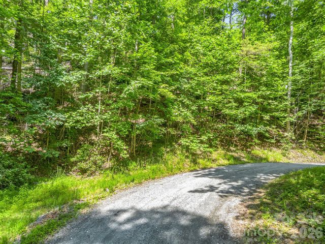 00 Chipmonk Trail 107, Lake Lure, NC 28746