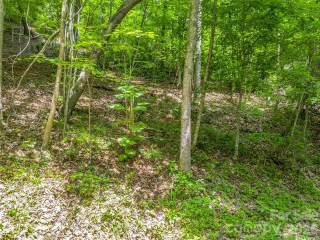 00 Chipmonk Trail 107, Lake Lure, NC 28746