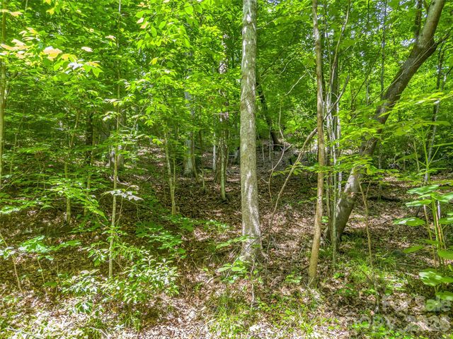 00 Chipmonk Trail 107, Lake Lure, NC 28746