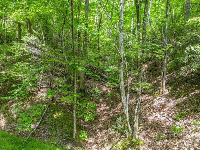 00 Chipmonk Trail 107, Lake Lure, NC 28746