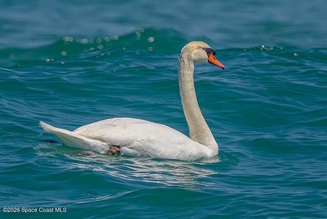 7135 S Highway A1a D, Melbourne Beach, FL 32951