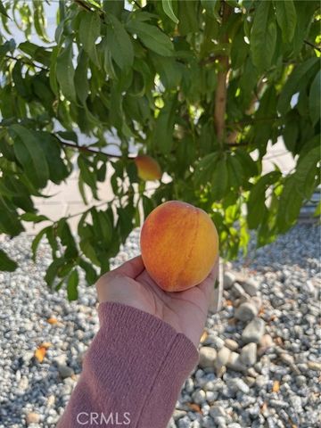 6225 Mandy, San Bernardino, CA 92407