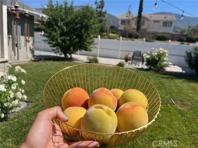 6225 Mandy, San Bernardino, CA 92407