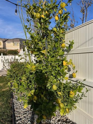 6225 Mandy, San Bernardino, CA 92407