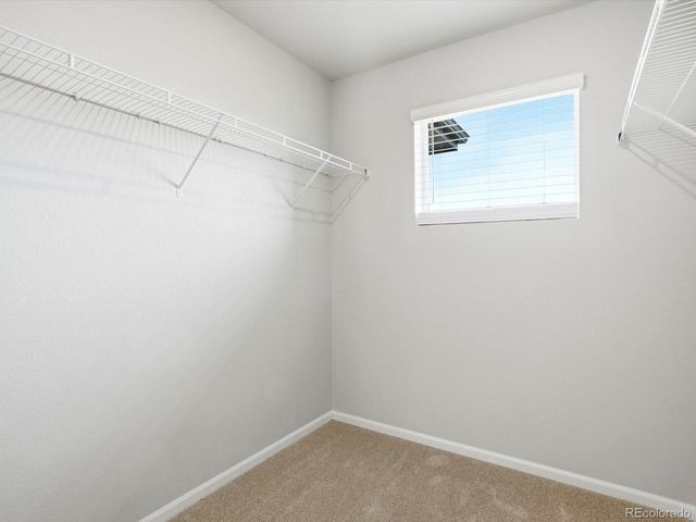 1596 Riverplace Drive 4, Windsor, CO 80550