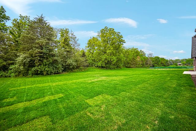 1212 Georgias Way, New Lenox, IL 60451