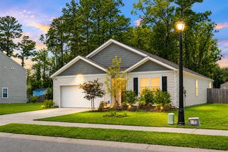 335 Spruce Ivy Street, Moncks Corner, SC 29461