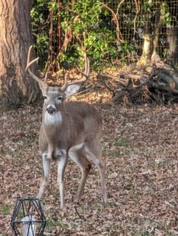 120 Dogwood Ln, Winchester, TN 37398