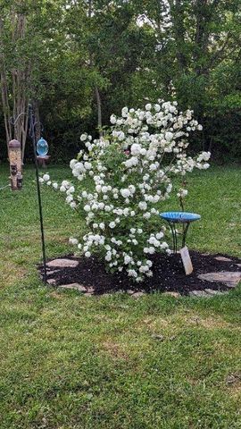 120 Dogwood Ln, Winchester, TN 37398