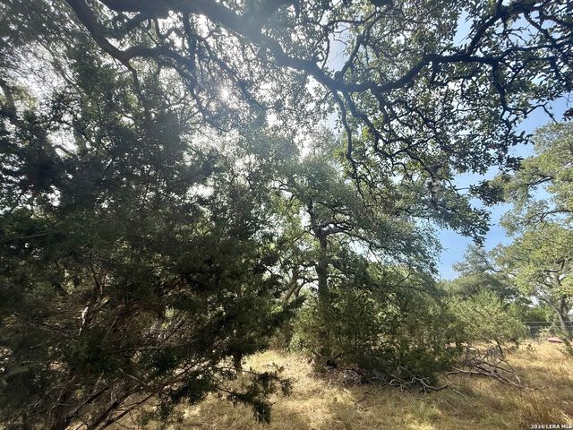102 Denson Belk, Blanco, TX 78606