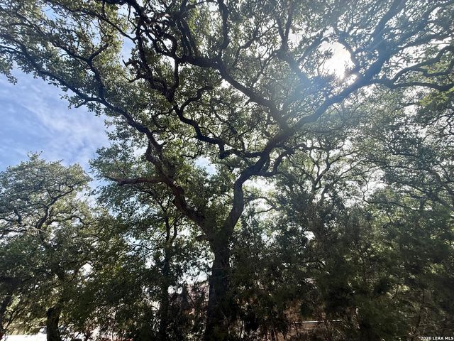 102 Denson Belk, Blanco, TX 78606
