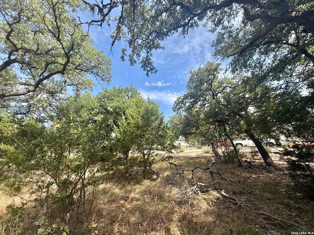 102 Denson Belk, Blanco, TX 78606
