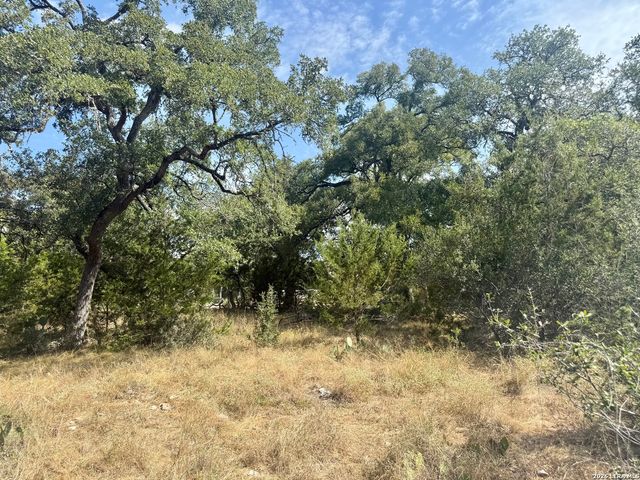 102 Denson Belk, Blanco, TX 78606
