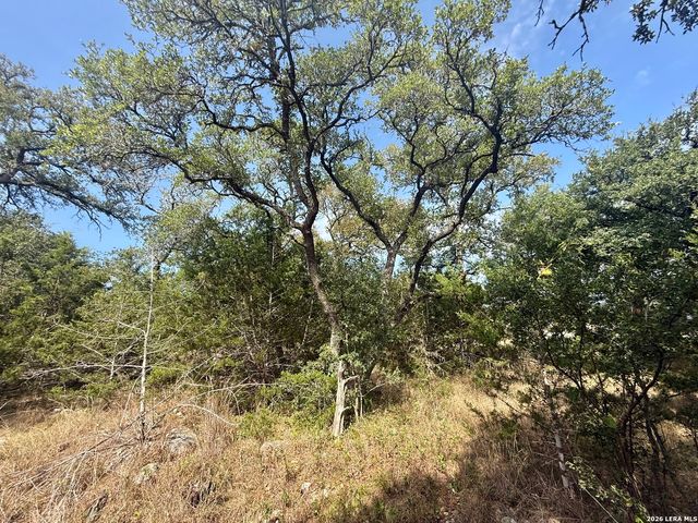 102 Denson Belk, Blanco, TX 78606