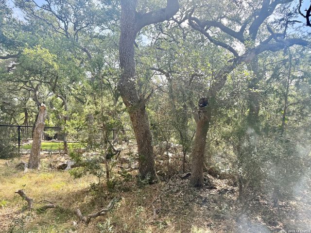 102 Denson Belk, Blanco, TX 78606