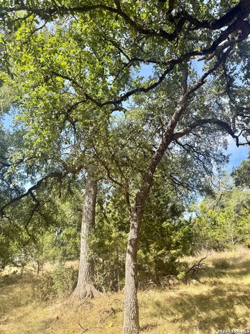 102 Denson Belk, Blanco, TX 78606