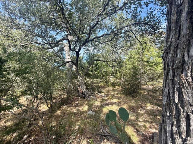 102 Denson Belk, Blanco, TX 78606