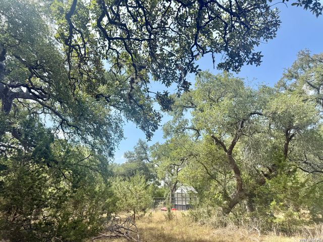 102 Denson Belk, Blanco, TX 78606