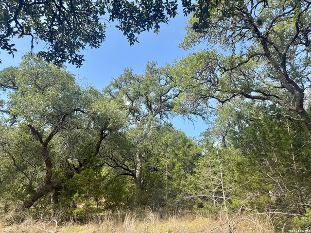102 Denson Belk, Blanco, TX 78606