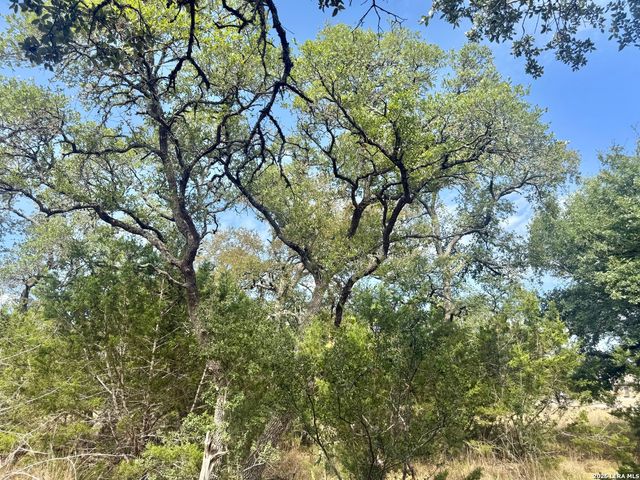 102 Denson Belk, Blanco, TX 78606