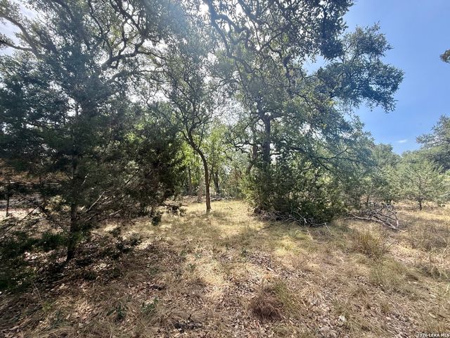 102 Denson Belk, Blanco, TX 78606