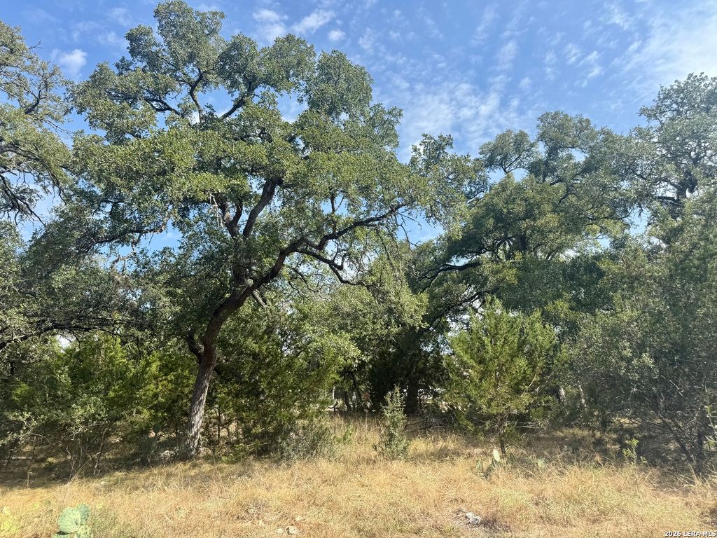 102 Denson Belk, Blanco, TX 78606