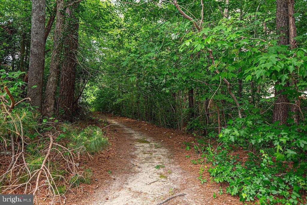 Image 53 of property listing at 1179 OCEAN PKWY, Ocean Pines, MD 21811