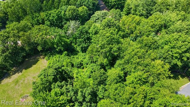 0000 Big Lake, Davisburg, MI 48350