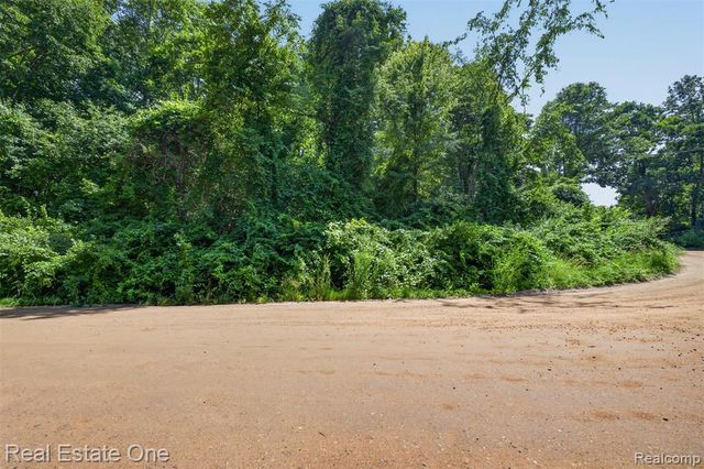 0000 Big Lake, Davisburg, MI 48350